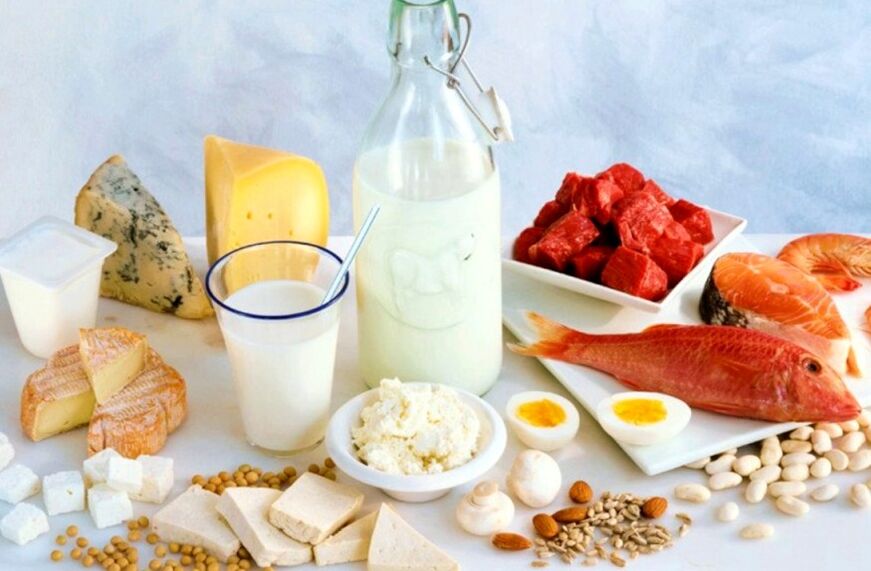 Protein diet